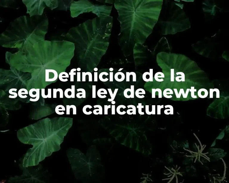 Definición de la segunda ley de newton en caricatura