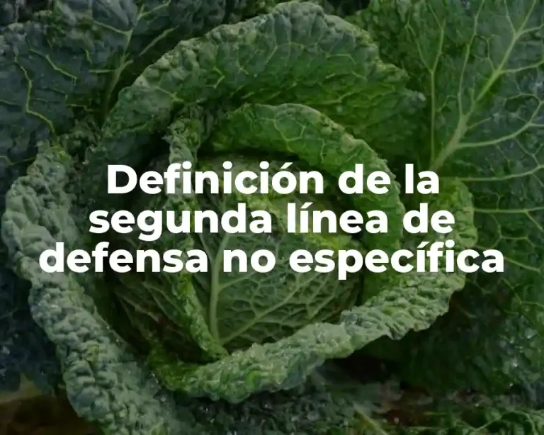 Definición de la segunda línea de defensa no específica