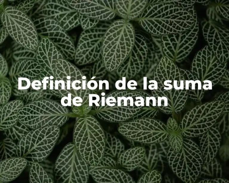 Definición de la suma de Riemann
