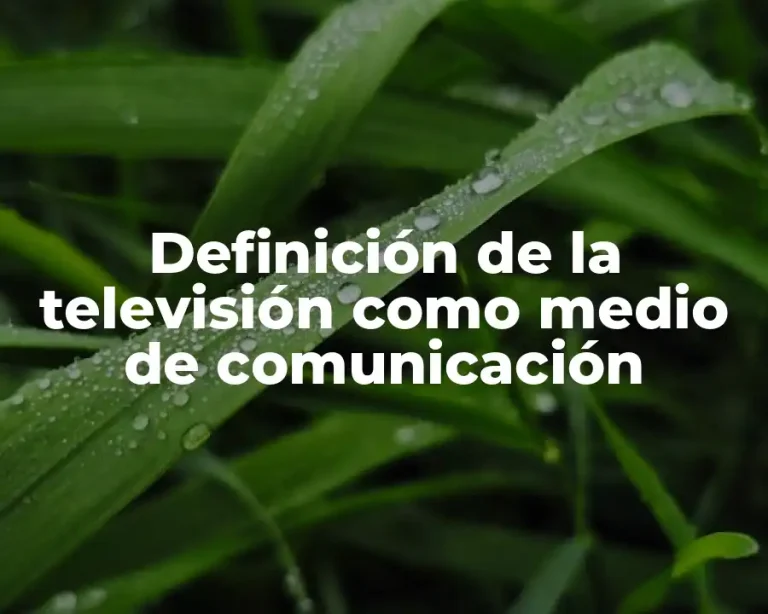 Definición de la televisión como medio de comunicación