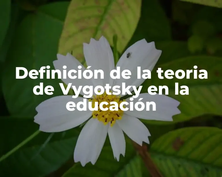 Definición de la teoria de Vygotsky en la educación