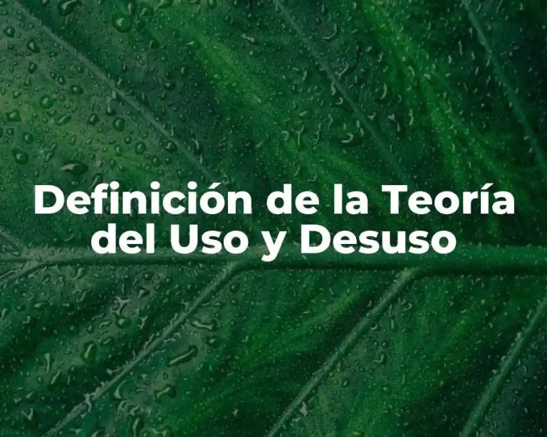 Definición de la Teoría del Uso y Desuso