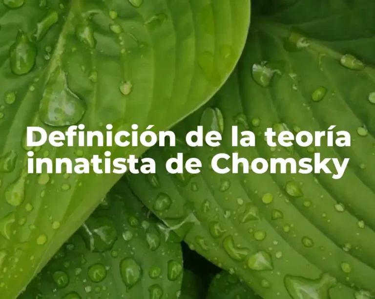 Definición de la teoría innatista de Chomsky