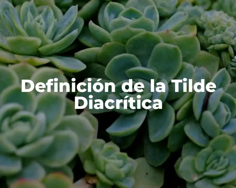 Definición de la Tilde Diacrítica