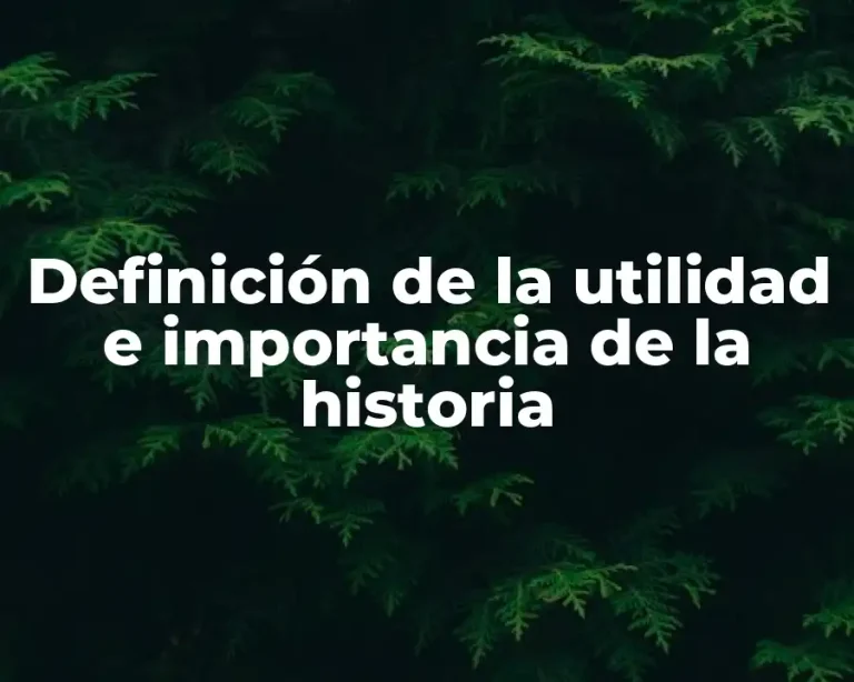 Definición de la utilidad e importancia de la historia