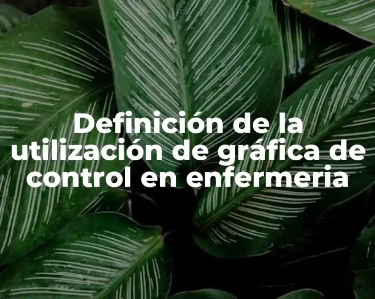 Definición de la utilización de gráfica de control en enfermeria