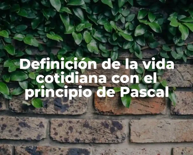Definición de la vida cotidiana con el principio de Pascal