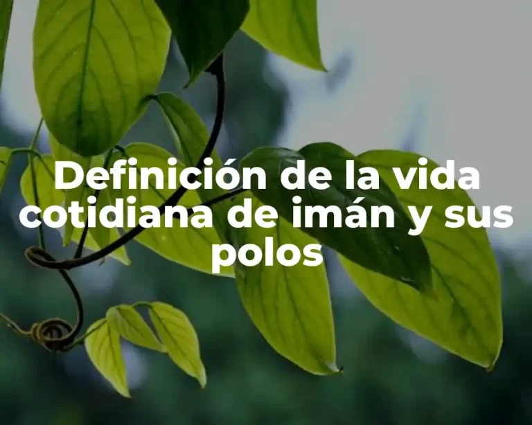 Definición de la vida cotidiana de imán y sus polos