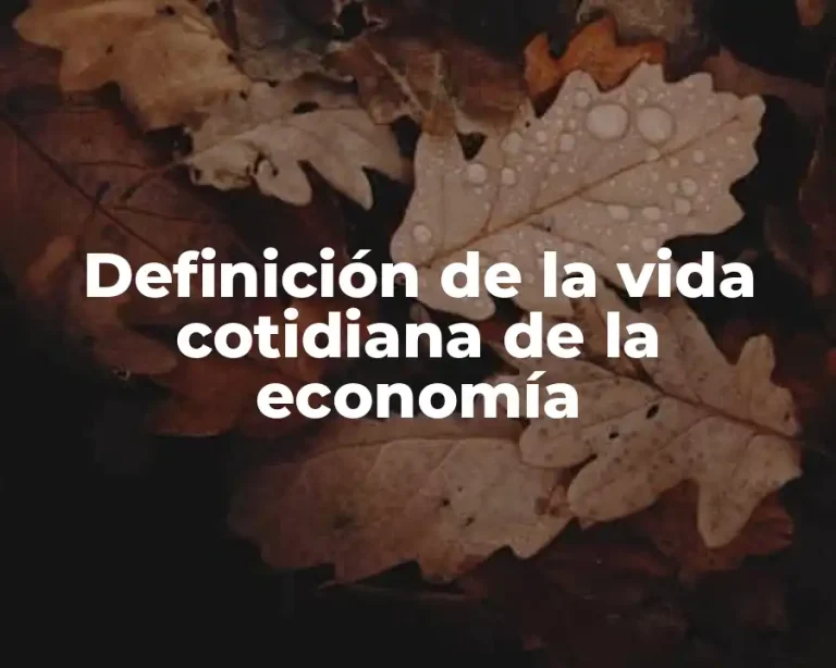 Definición de la vida cotidiana de la economía