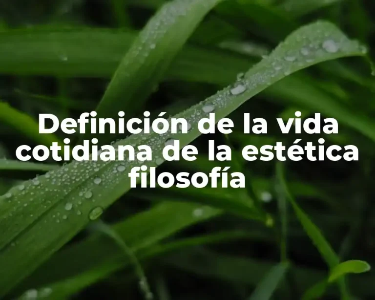 Definición de la vida cotidiana de la estética filosofía