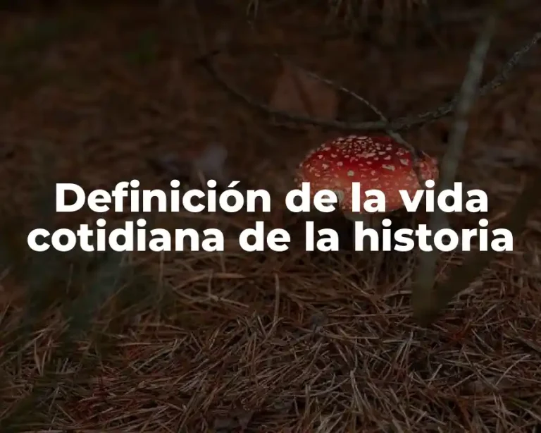 Definición de la vida cotidiana de la historia