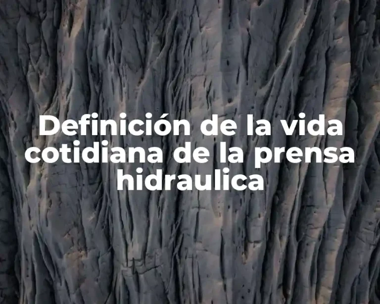 Definición de la vida cotidiana de la prensa hidraulica