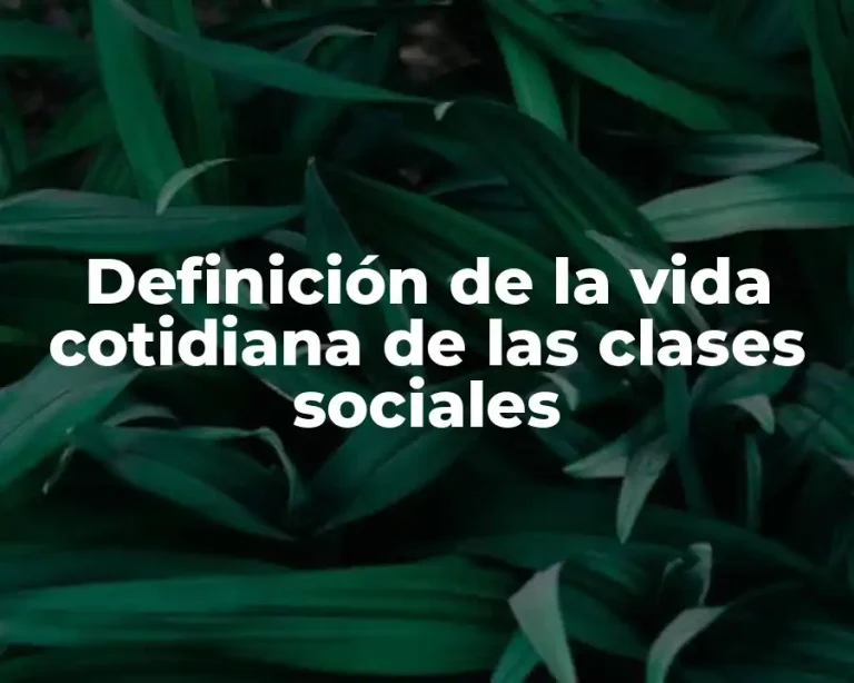 Definición de la vida cotidiana de las clases sociales