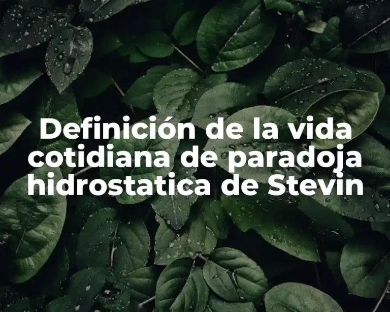 Definición de la vida cotidiana de paradoja hidrostatica de Stevin