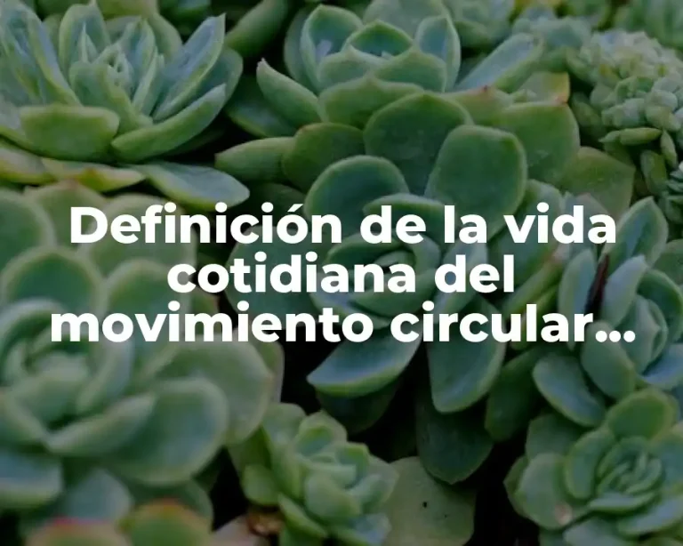 Definición de la vida cotidiana del movimiento circular uniforme