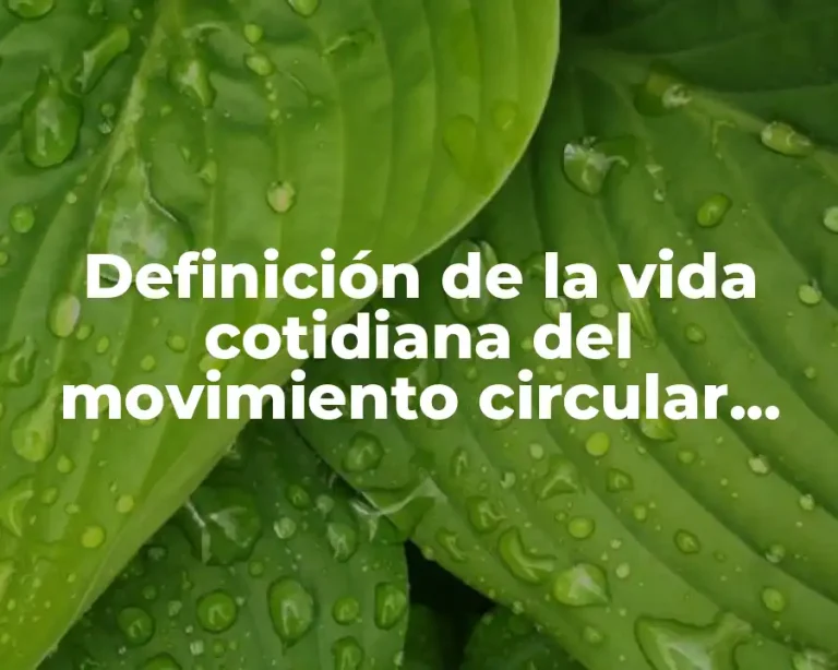 Definición de la vida cotidiana del movimiento circular uniformemente variado