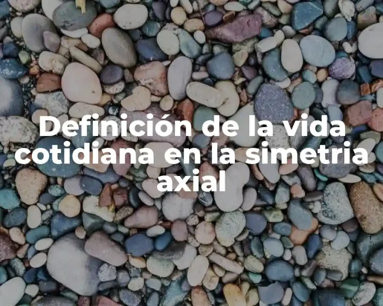 Definición de la vida cotidiana en la simetria axial
