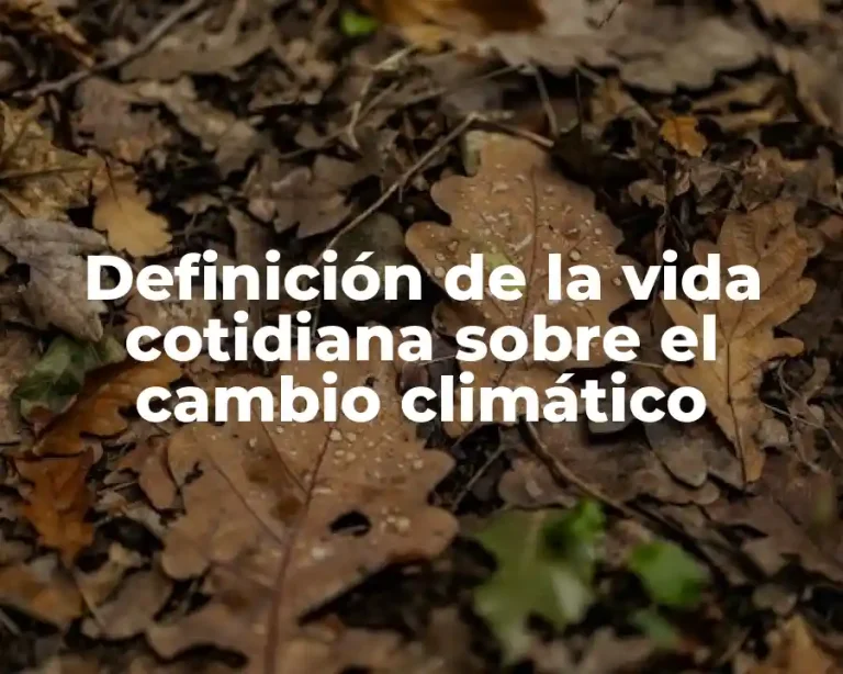 Definición de la vida cotidiana sobre el cambio climático