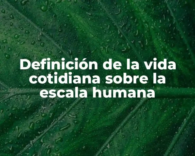 Definición de la vida cotidiana sobre la escala humana