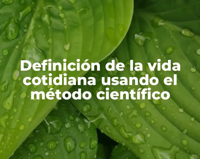 Definición de la vida cotidiana usando el método científico