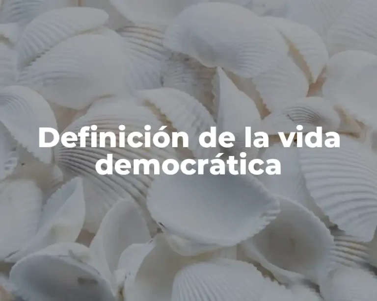 Definición de la vida democrática