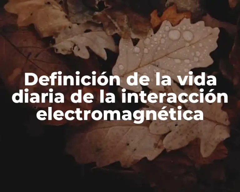 Definición de la vida diaria de la interacción electromagnética