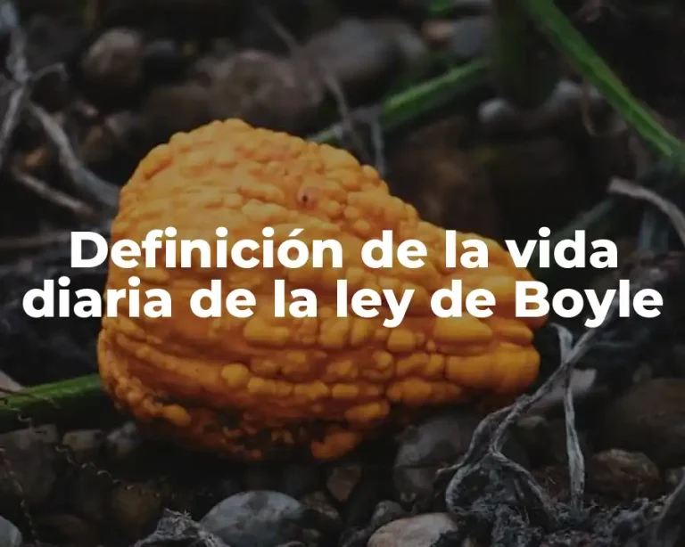Definición de la vida diaria de la ley de Boyle