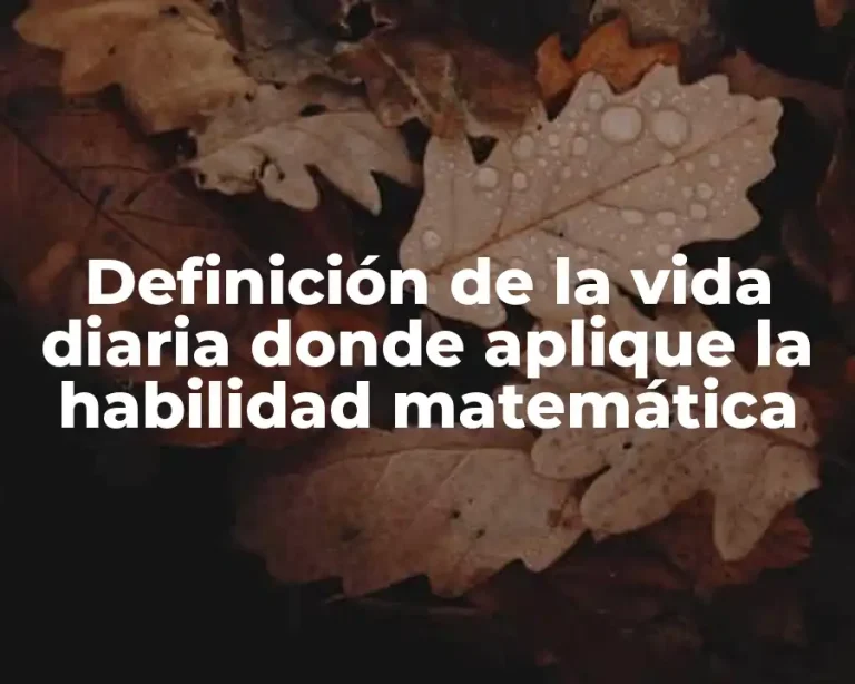 Definición de la vida diaria donde aplique la habilidad matemática