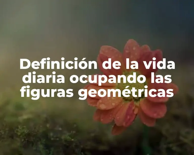 Definición de la vida diaria ocupando las figuras geométricas