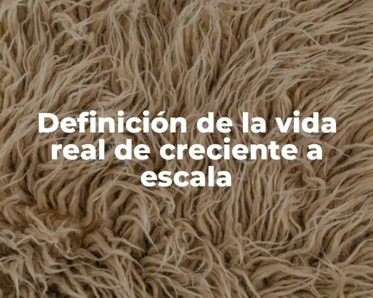 Definición de la vida real de creciente a escala