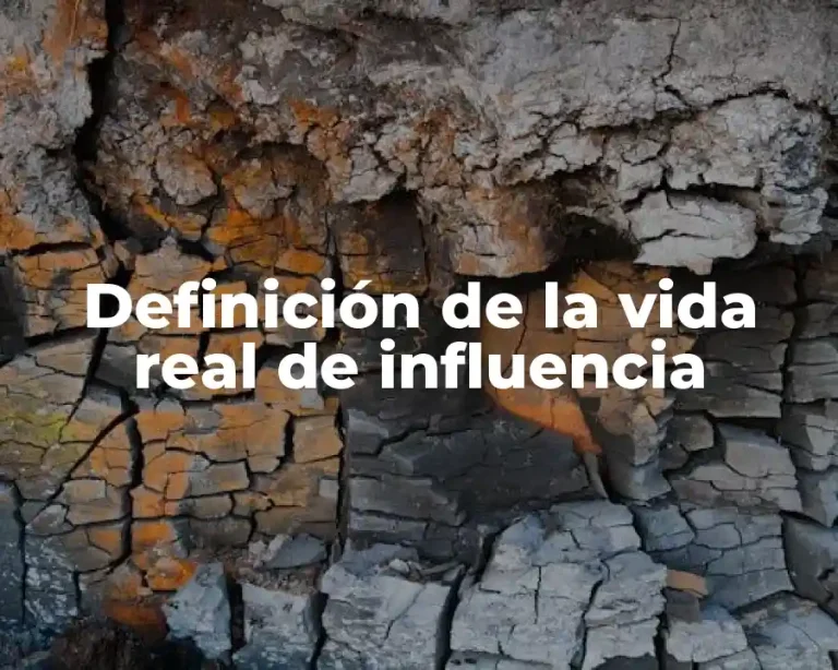 Definición de la vida real de influencia