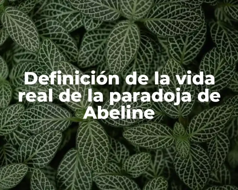 Definición de la vida real de la paradoja de Abeline
