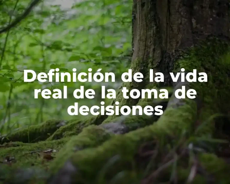 Definición de la vida real de la toma de decisiones