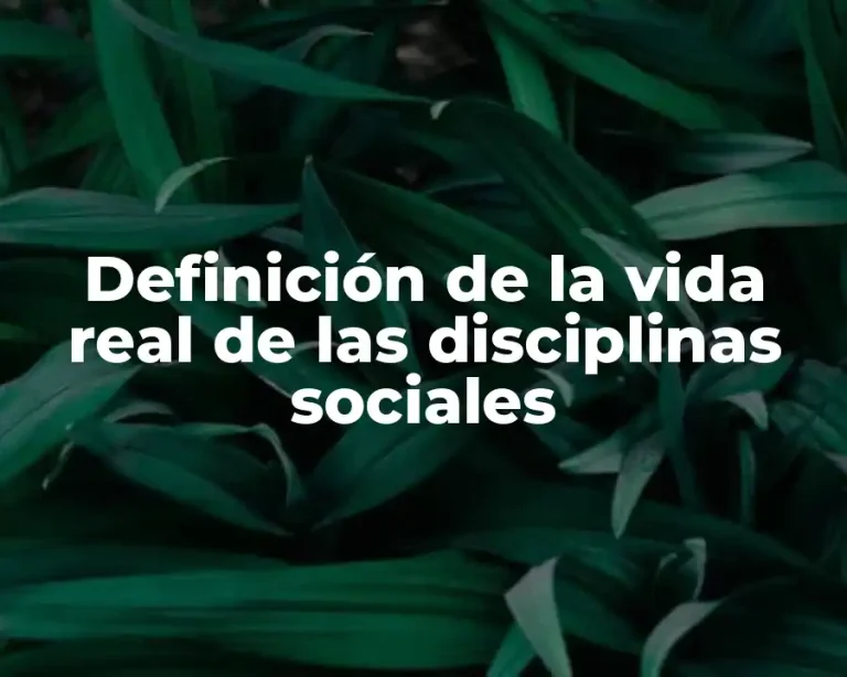 Definición de la vida real de las disciplinas sociales