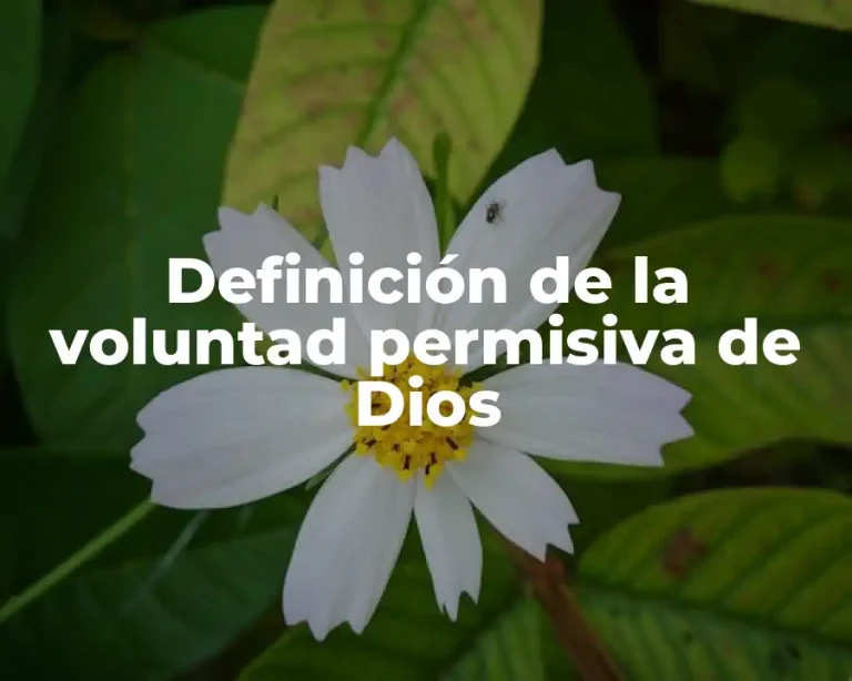 Definición de la voluntad permisiva de Dios