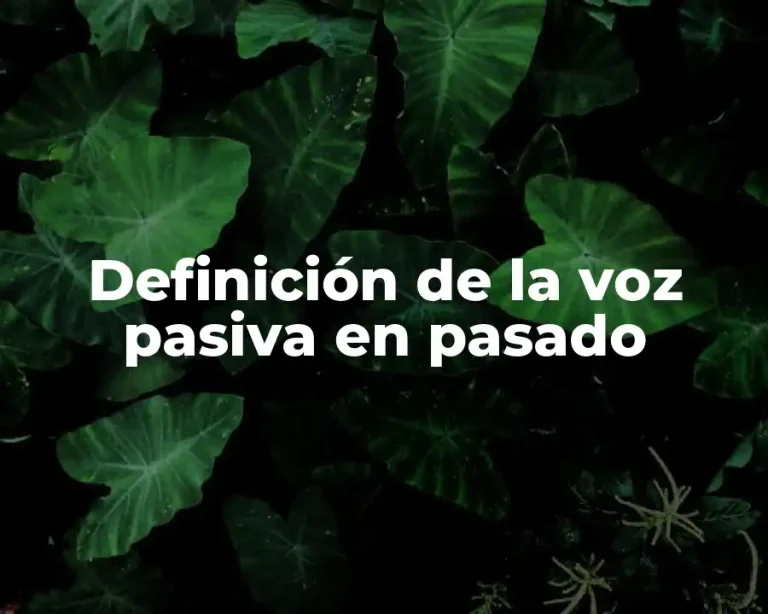 Definición de la voz pasiva en pasado