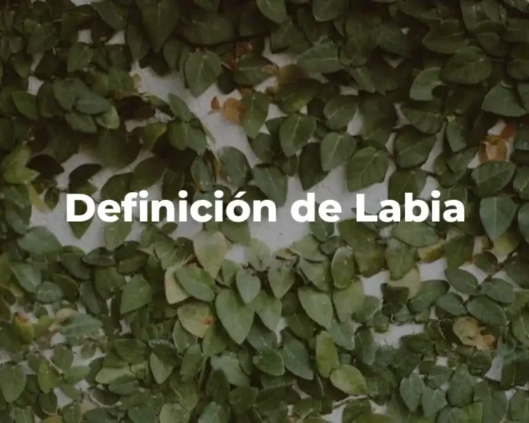 Definición de Labia