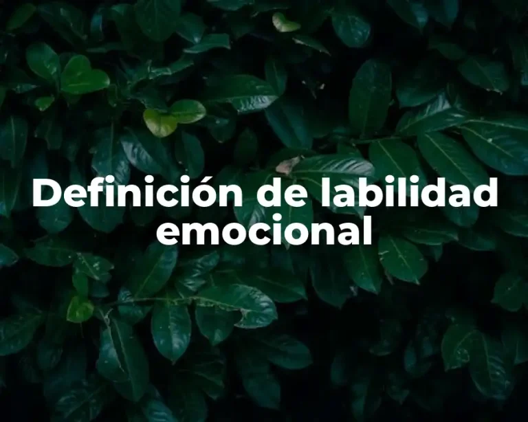 Definición de labilidad emocional