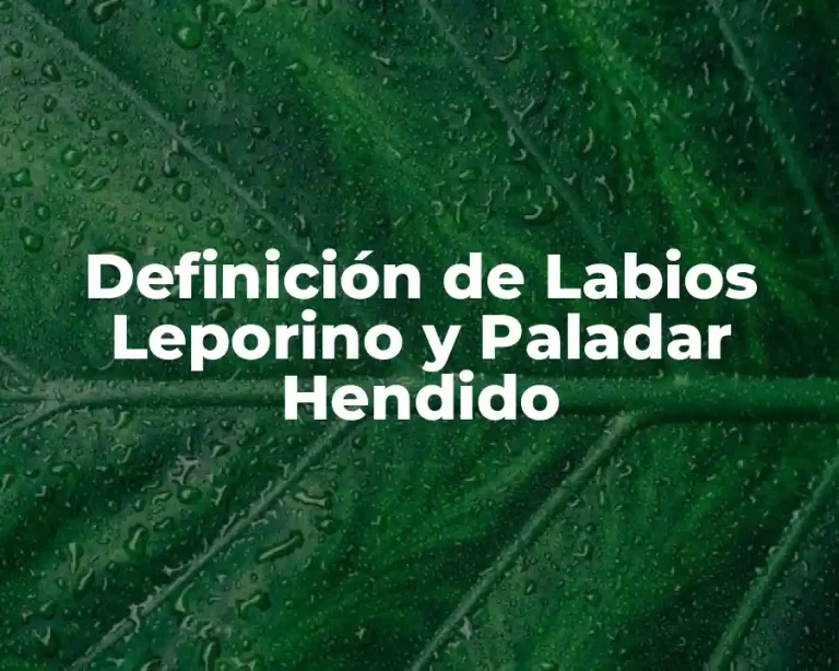 Definición de Labios Leporino y Paladar Hendido