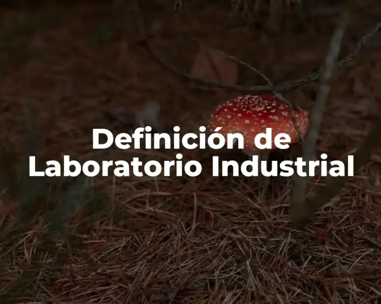 Definición de Laboratorio Industrial