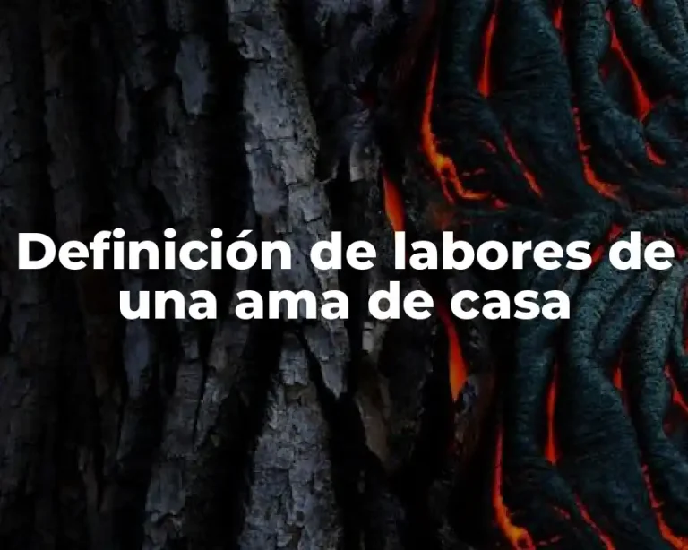 Definición de labores de una ama de casa