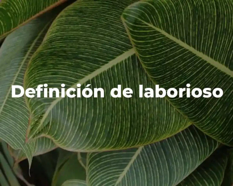 Definición de laborioso