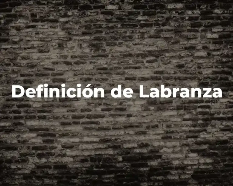 Definición de Labranza