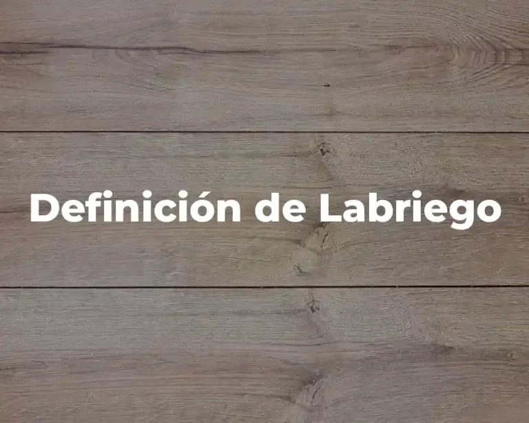 Definición de Labriego