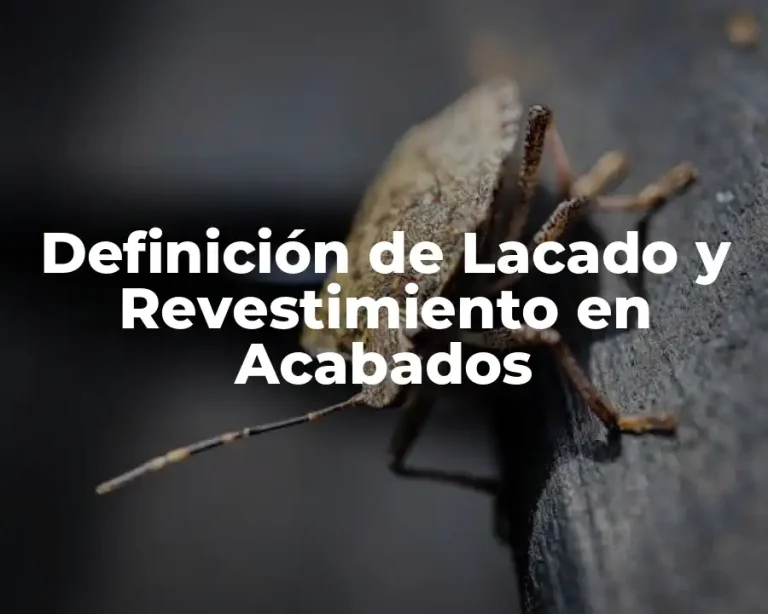 Definición de Lacado y Revestimiento en Acabados