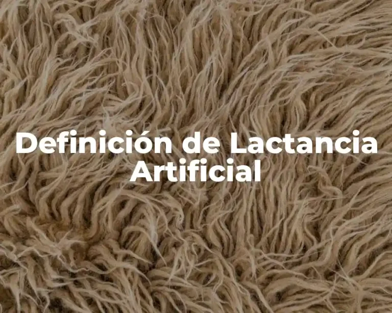 Definición de Lactancia Artificial