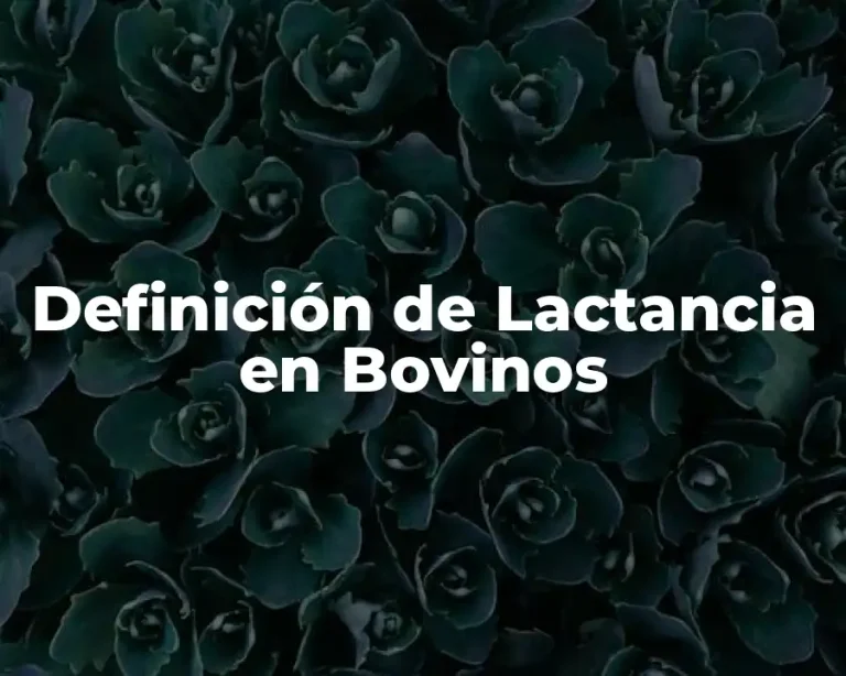 Definición de Lactancia en Bovinos