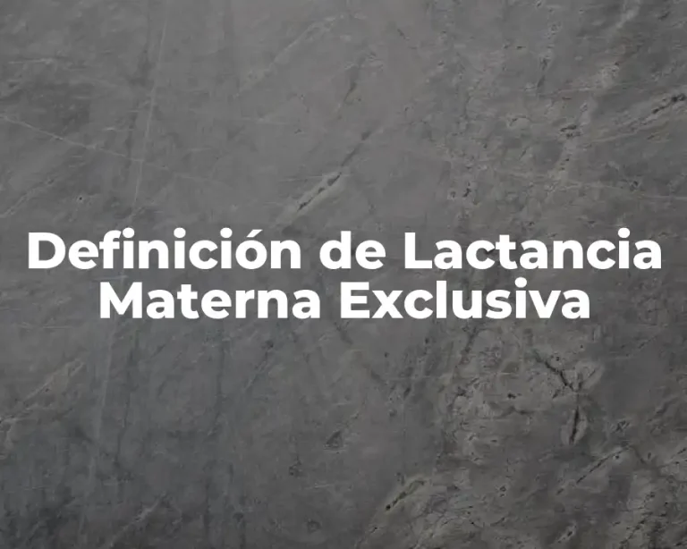 Definición de Lactancia Materna Exclusiva