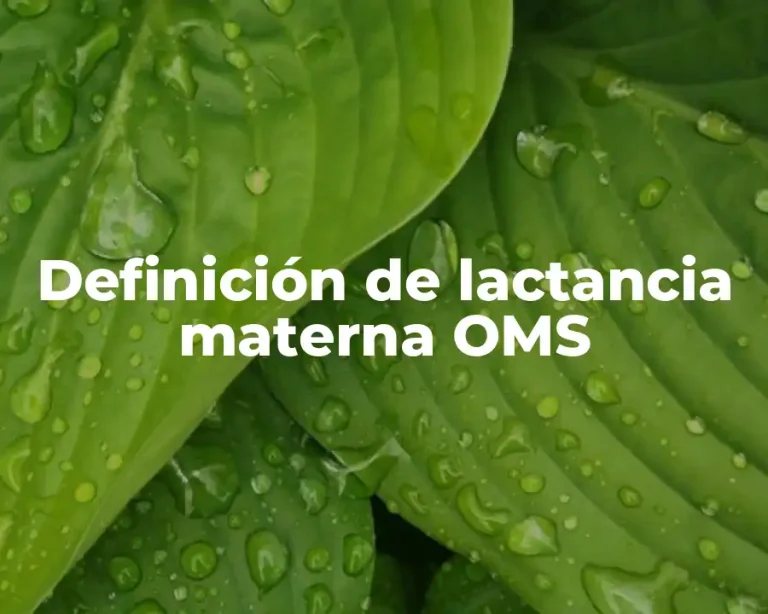 Definición de lactancia materna OMS