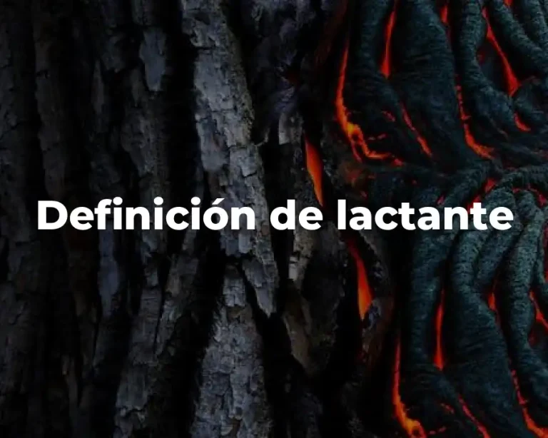 Definición de lactante